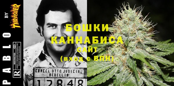 крисы Абаза